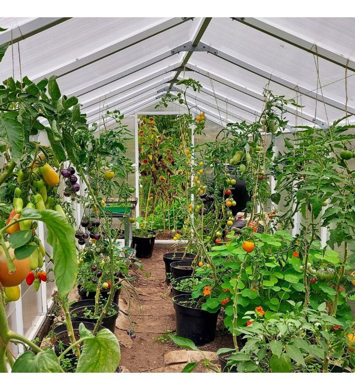 Szklarnie szklarnia ogrodowa z poliwĘglanu 5,6m2 tunel poliwĘglanowy 210x270 ptf